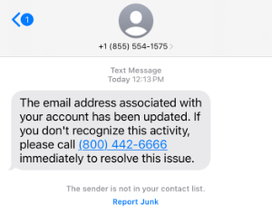 Example of Text Message for fraud alert